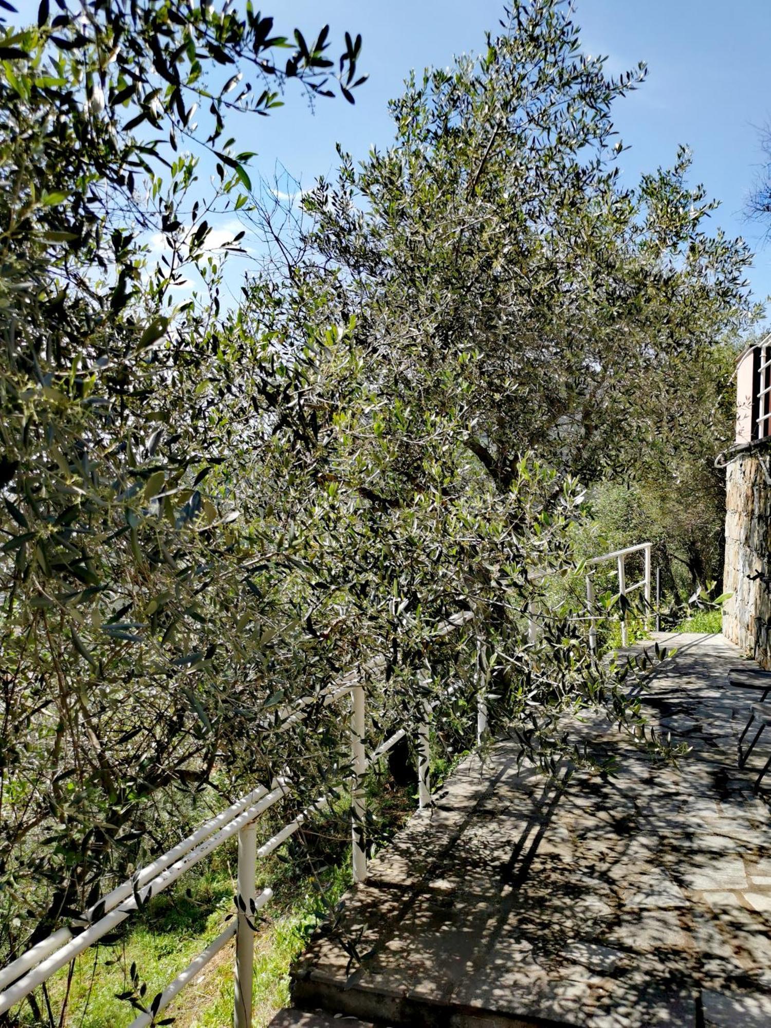 Casun Du Menegottu Villa Sestri Levante Bagian luar foto